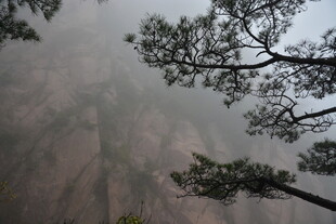 雾中峻岭与松景