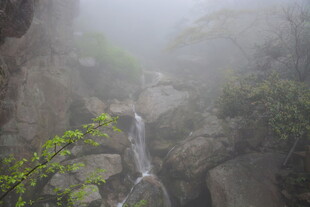 山间雾中瀑布景观