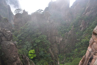 云雾缭绕的壮美山间景色