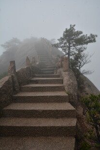 雾中石阶 山间静谧景致