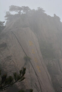 雾中峻峭山峰与孤松