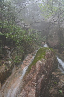 山间雾中溪流美景