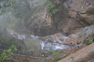 山间溪流潺潺 岩石相伴