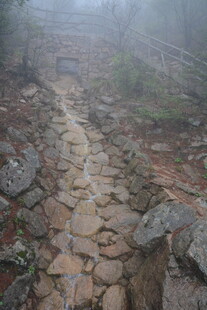 雾中石板小径 静谧自然景