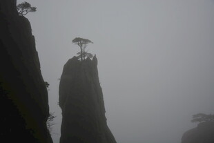云雾中高耸的奇特山峰