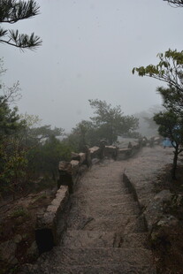 雾中蜿蜒山间小径