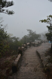 雾中蜿蜒山间小径