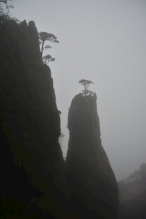 云雾中屹立的奇特山峰