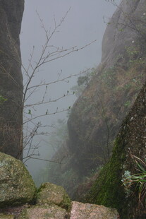 雾中嶙峋山石与孤树