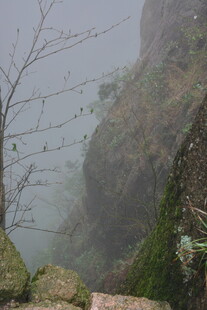 雾中险峻山景