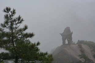 雾中孤亭 山林静谧之景