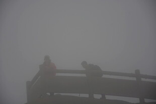 雾中桥上的模糊身影