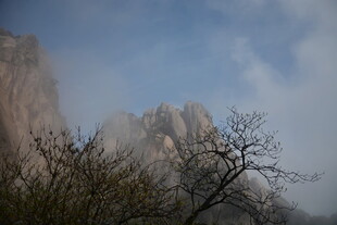 云雾缭绕的山景与枯树