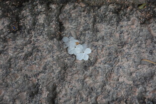 岩石上的拼接白色拼图块