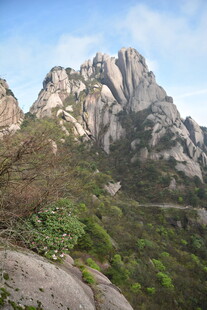 巍峨山峰与葱郁植被景观