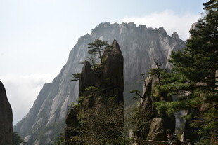 巍峨山峰与葱郁林木