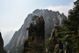 巍峨山峰与葱郁林木