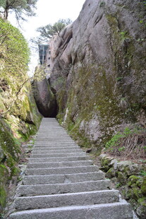 山间石阶小道 清幽景致