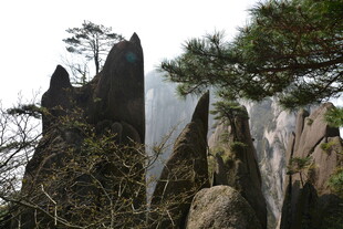 黄山奇峰与苍松景观