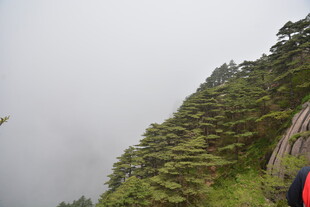 云雾缭绕的山间景致