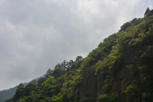 青山绿树间的自然景致