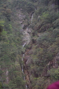 山间溪流穿林而过