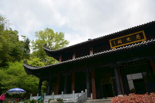 中式古建 掩映于绿树之间