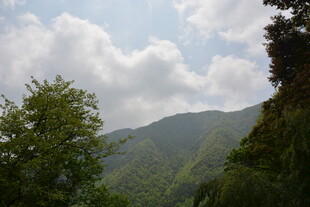 青山绿树间的蓝天白云