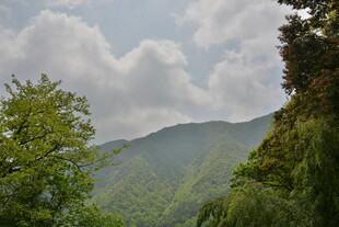 青山绿树间的云雾美景