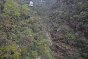 山间索道穿行茂密丛林