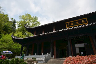 中式古建 静立绿荫之下