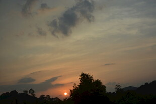 日落时分的树林美景