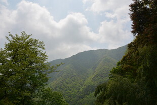 山间绿意 云绕青山美景