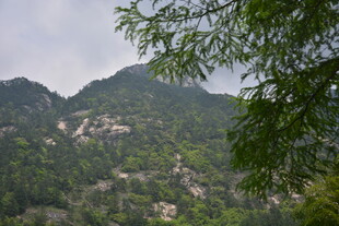 山间绿意盎然的秀丽景致