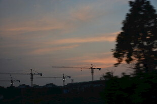 黄昏下的塔吊与树木景观