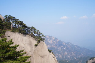 峻峭山峰上的翠绿松树