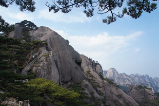巍峨山峰与葱郁树木景观