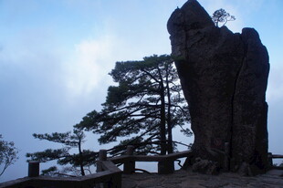 山间奇形巨石与松树