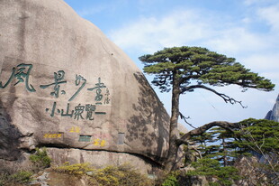 黄山奇峰旁的苍松石刻