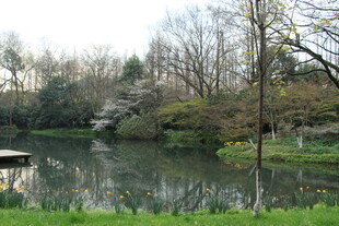 宁静湖畔园林美景