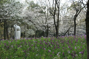 春日花丛中的白色雕像