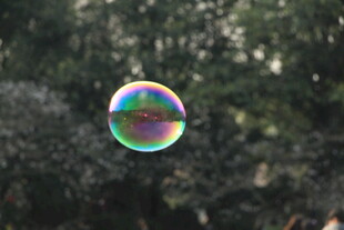 阳光下的彩色泡泡