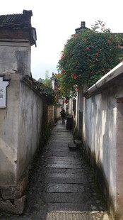 古巷幽径 尽显岁月韵味