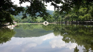 宁静湖畔的自然倒影美景