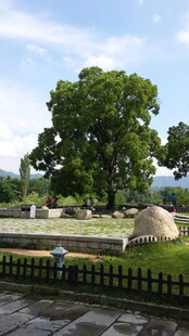 户外静谧园林景观