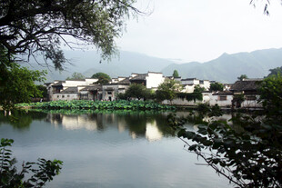 江南水乡湖畔静谧景致