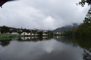 烟雨朦胧的宁静水乡景色