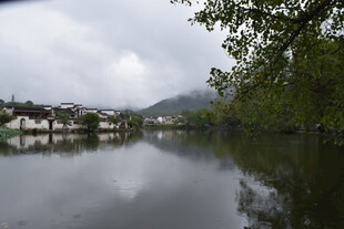 宁静水乡湖畔风光