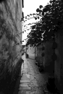 幽静小巷 岁月沉淀的风景