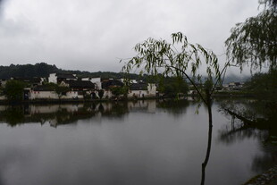 江南水乡湖畔风景如画